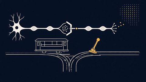 Когнитивная гибкость: почему мозг держит правило, которое уже не работает