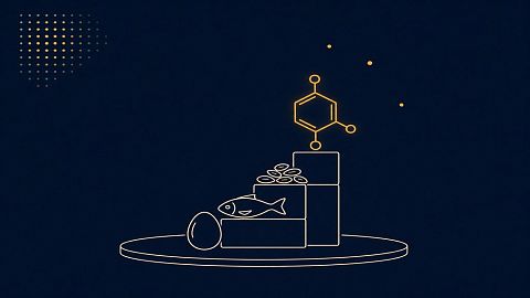 Продукты для дофамина: чем на самом деле питается мотивация